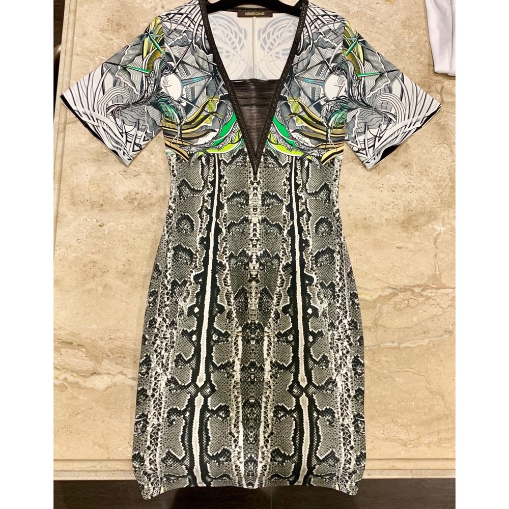 Roberto Cavalli Bodycon Dress